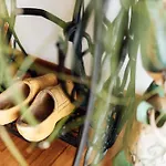 Casa Da Avo Bela 부아르코스