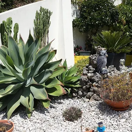 Casa Da Avo Bela Homestay *