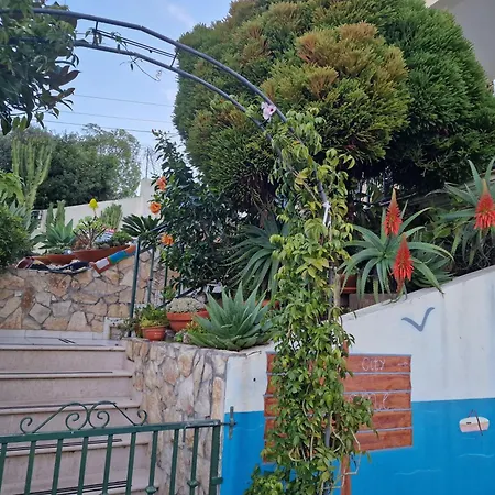 Casa Da Avo Bela Homestay