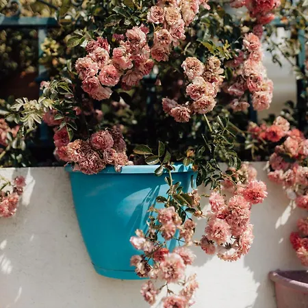 Casa Da Avo Bela Accommodatie bij particulieren