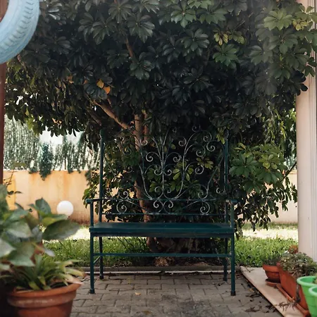 Casa Da Avo Bela Accommodatie bij particulieren *