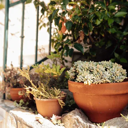 Casa Da Avo Bela Buarcos