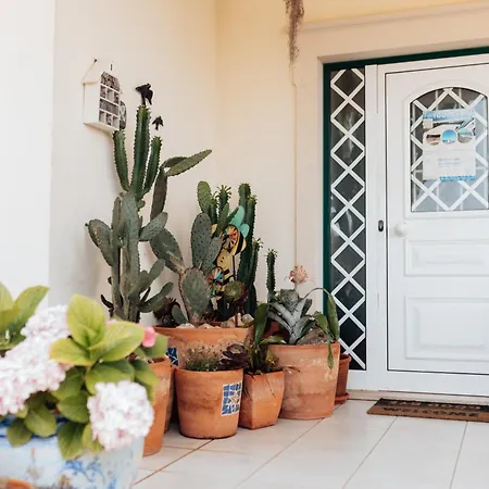 Casa Da Avo Bela Accommodatie bij particulieren *