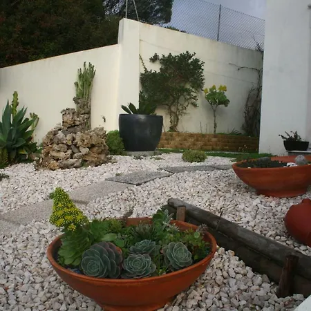 Casa Da Avo Bela Homestay