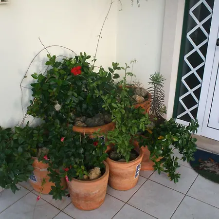 Homestay Casa Da Avo Bela