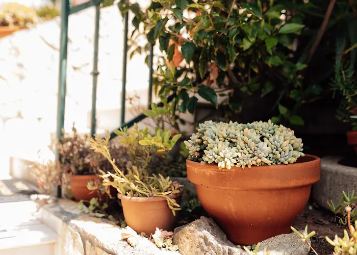 Casa Da Avo Bela Buarcos